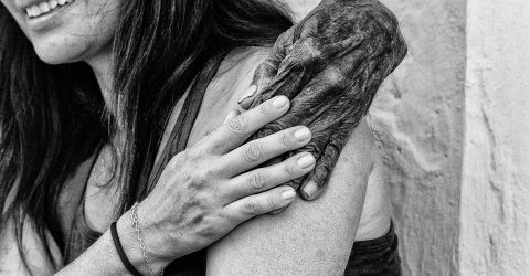 Hands