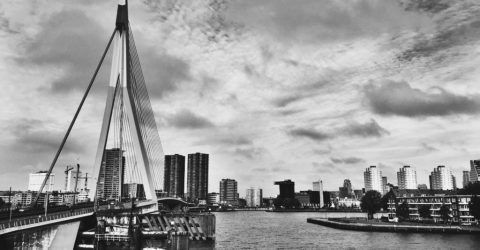 Rotterdam City Vibes