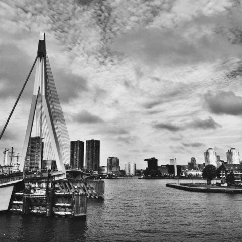 Rotterdam City Vibes