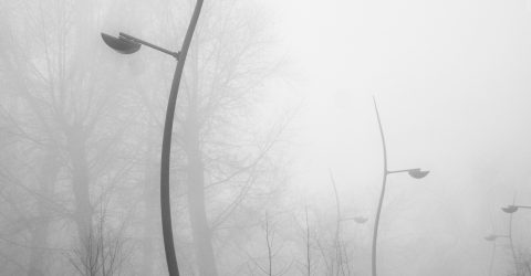 fog