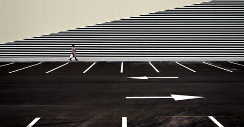 the lines