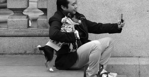 Taking a wolfie